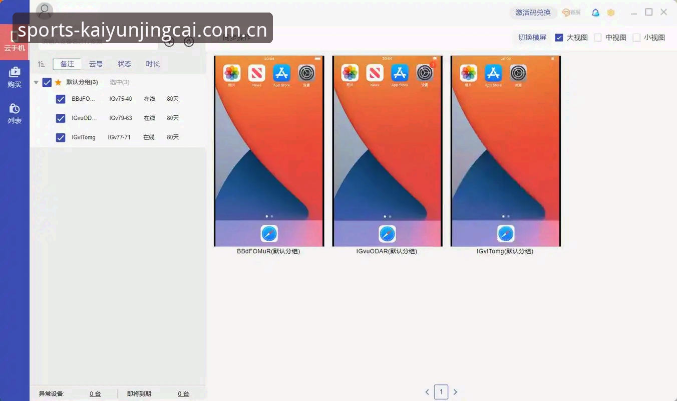 苹果iOS设备安装开云竞猜中文官网客户端失败？这份实操教程可解困扰